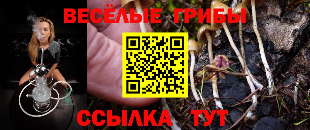Вольск  Псилоцибиновые грибы ЛСД  Вход с VPN 