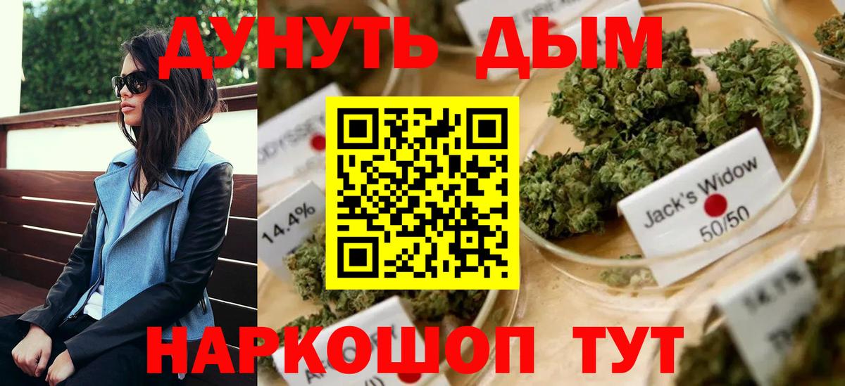 Конопля планчик  Вход с VPN  Каннабис ГИДРОПОН  Каннабис конопля  Вольск  МАРИХУАНА Ganja 